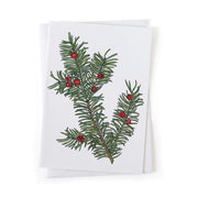 Greeting card featuring native evergreen Canada Yew, green leaves and red berries on a white background