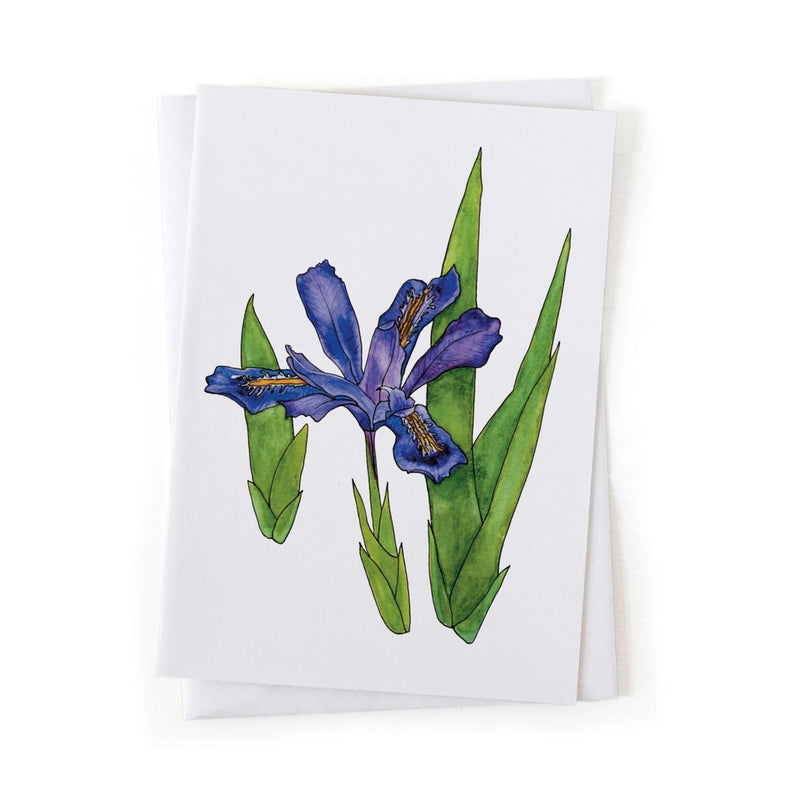 Greeting card with a Dwarf Lake Iris illustration blue flower and green foliage on a white background
