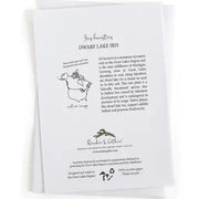 Educational text and species range map about Dwarf Lake Iris on a white background