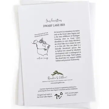 Educational text and species range map about Dwarf Lake Iris on a white background