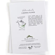 Educational text about Cardinal Flower lobelia cardinalis with range map and product branding on a white background