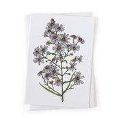 Greeting card with floral design of a frost aster on a white background