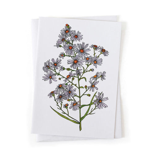 Greeting card with floral design of a frost aster on a white background