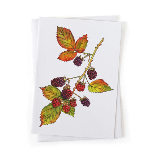 Greeting card with a botanical illustration of a branch of wild  blackberries and leaves on a white background