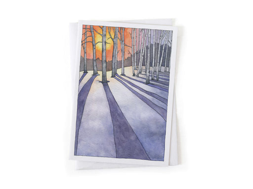 Pen and ink illustration of low sun behind winter birch trees