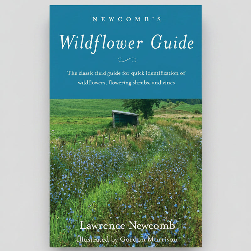 Newcomb's Wildflower Guide