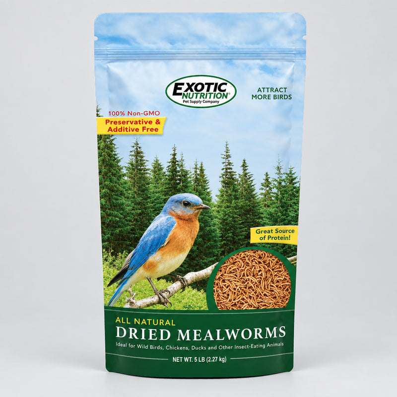 Dried Mealworms - 5lbs