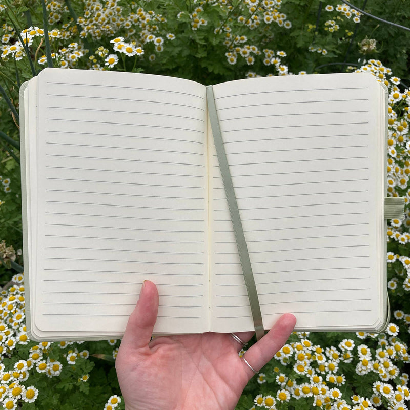 Frog and Mushrooms Eco-Friendly Upcycled Kiwi Notebook