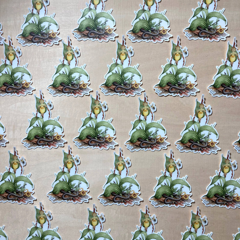 Sticker - Ring-necked Snake and Lady's Slipper Orchid