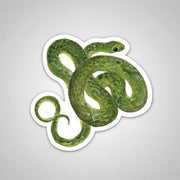 Smooth Green Snake Sticker