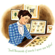 Out of School and Into Nature: The Anna Comstock Story
illustration of young lady with insect specimens