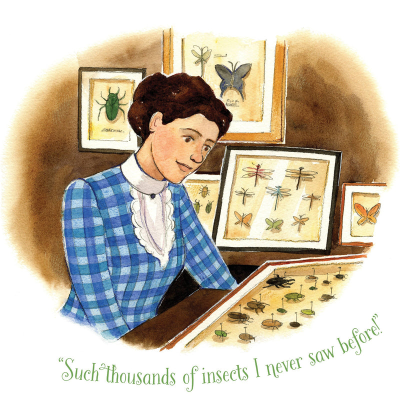 Out of School and Into Nature: The Anna Comstock Story
illustration of young lady with insect specimens