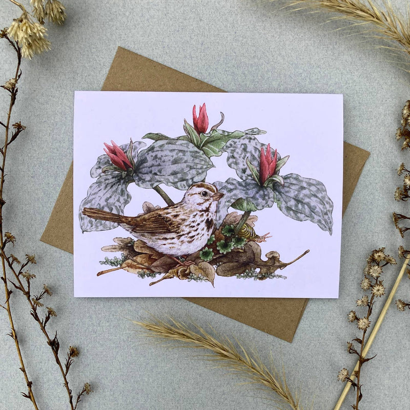 Card Set - 12 Woodland Critters On Blank Recycled Cards