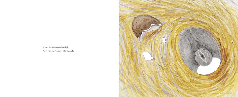 Sample page of Little Loon Finds His Voice by Yvonne Pearson