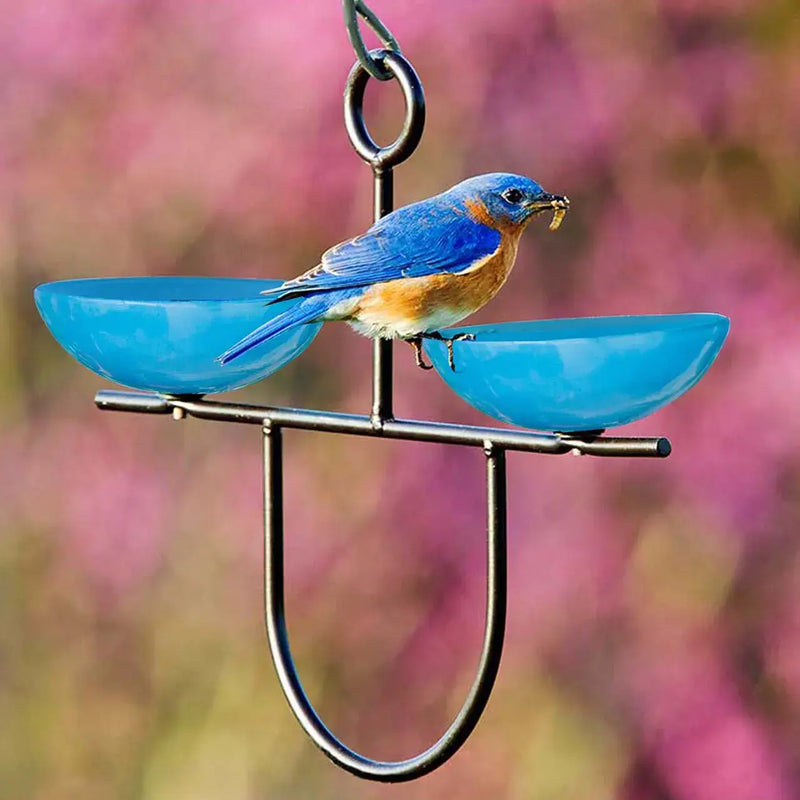 bluebird blue feeder shown with eastern bluebird eating a mealworm