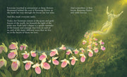 The Legend of the Lady's Slipper Picture Book
a river of lady slipper flowers