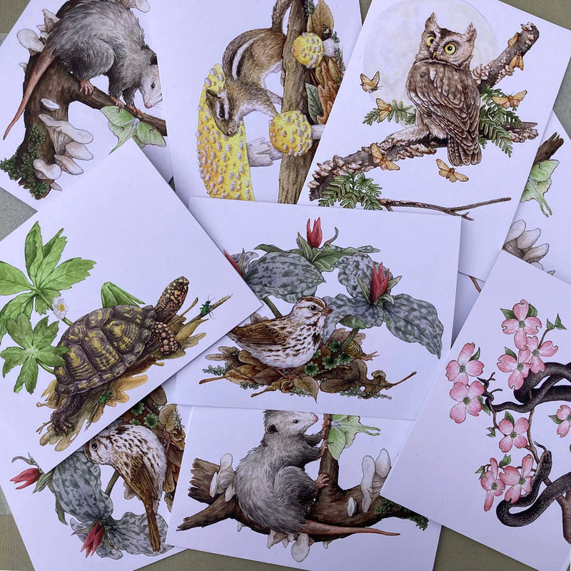 Card Set - 12 Woodland Critters On Blank Recycled Cards