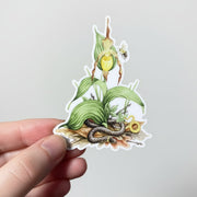 Sticker - Ring-necked Snake and Lady's Slipper Orchid