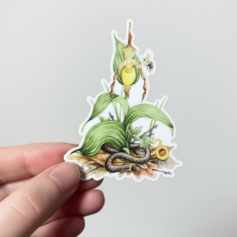 Sticker - Ring-necked Snake and Lady's Slipper Orchid