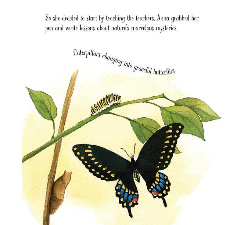 Out of School and Into Nature: The Anna Comstock Story
text and butterfly life cycle illustrations