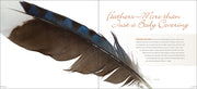Feather with text about feathers on a white background