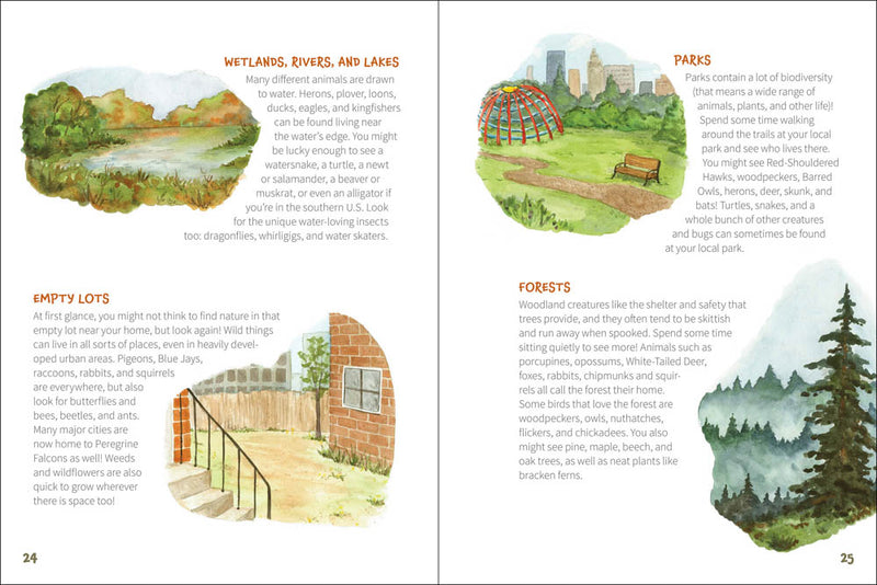 Illustrated book page about wetlands, rivers, lakes, parks, empty lots, and forests with corresponding images and text.