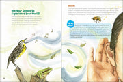 Illustrated book page with a bird, frog, and hand listening to sounds.