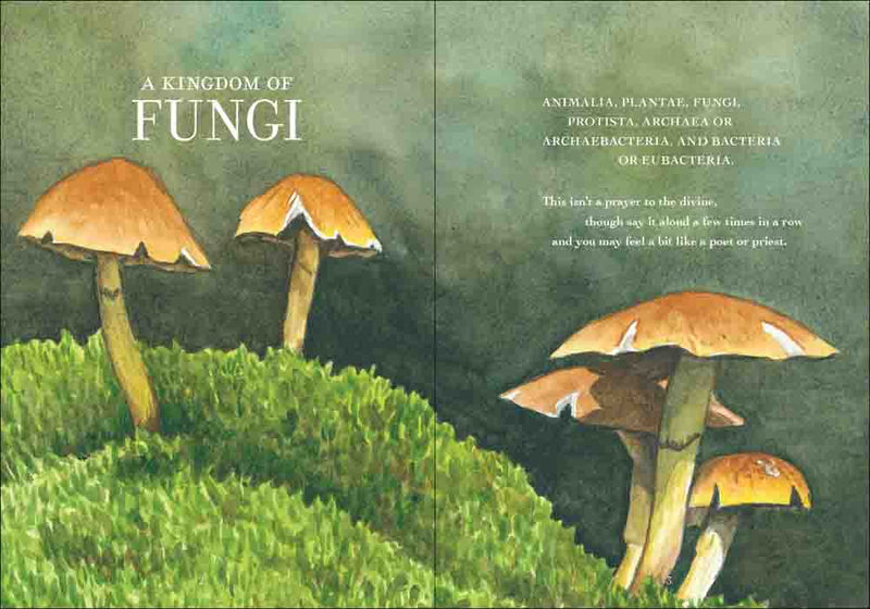 green grassy background wuth yellowish orange mushrooms illustrated. text reads 'a kingdom of fungi" 