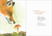 Illustration of a fox and mushroom with text on a white background