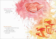 Illustration of mushrooms with colorful watercolor splashes on a book page.