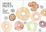 Illustrations of spore prints resembling flowers on a white background