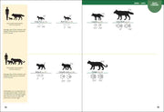 Comparison chart of mammal sizes with silhouettes and measurements.