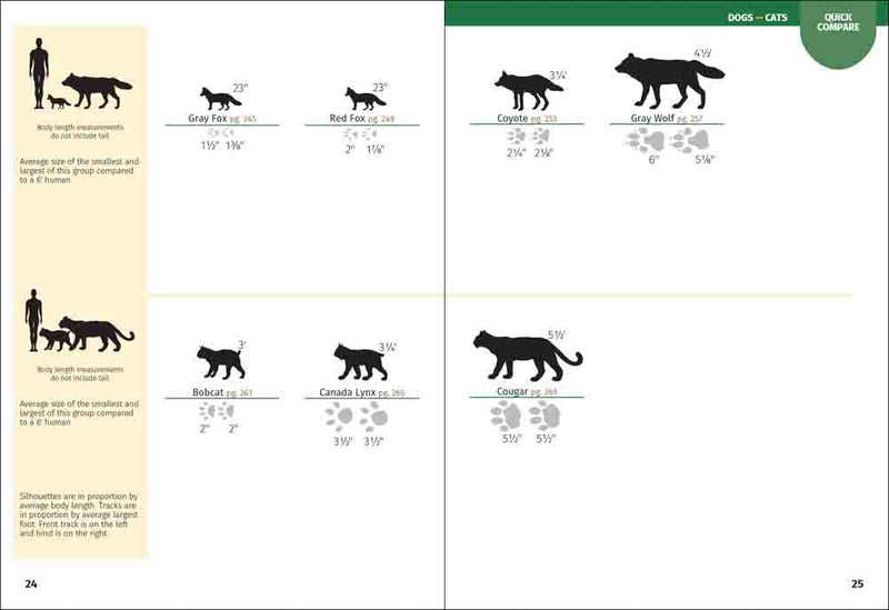 Comparison chart of mammal sizes with silhouettes and measurements.