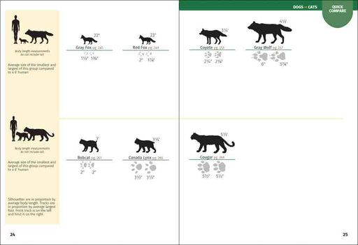Comparison chart of mammal sizes with silhouettes and measurements.