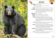 Black bear in a natural setting with descriptive text on the right