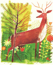 Pine Cone Regrown Picture Book
deer in the forest