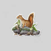 Sticker - Red Squirrel with Jack-in-the-Pulpit