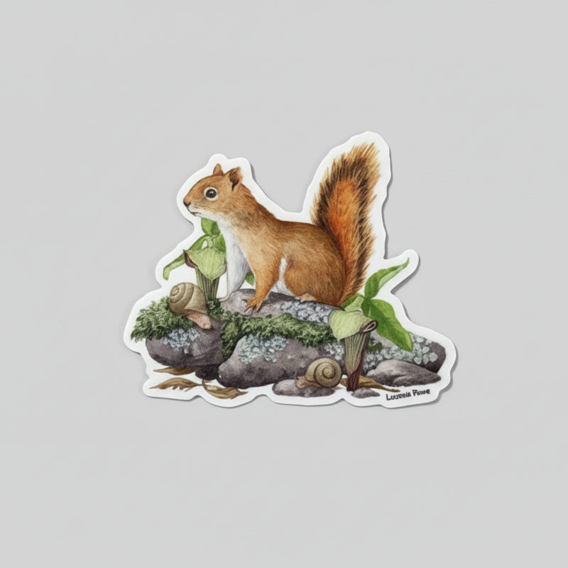 Sticker - Red Squirrel with Jack-in-the-Pulpit
