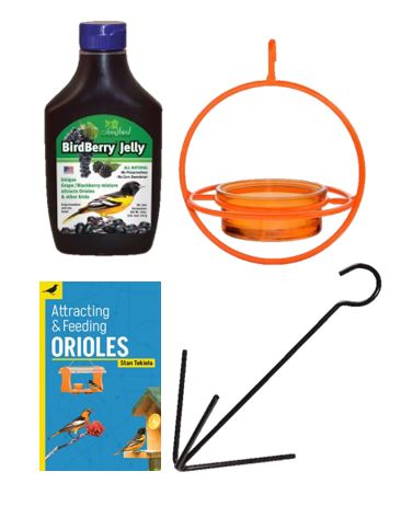 All Around Oriole Bundle