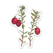Sticker with red cranberries and green foliage on a white background