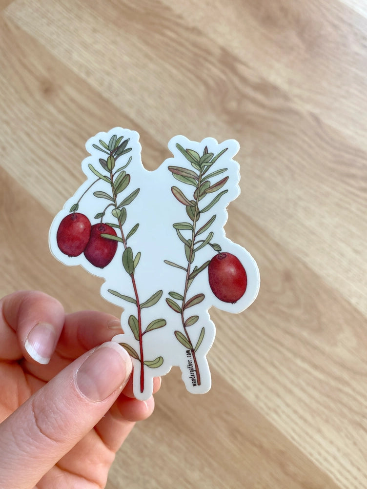 Hand holding a sticker with red cranberries and green leaves