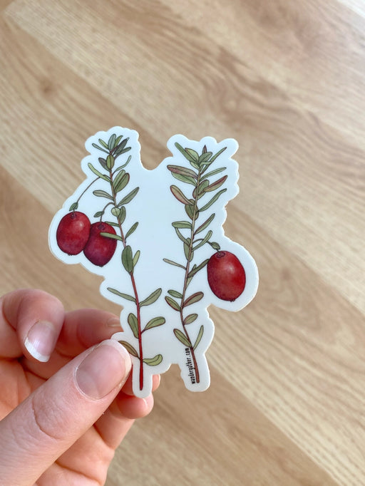 Hand holding a sticker with red cranberries and green leaves