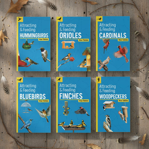 Set of six books on attracting and feeding various birds with colorful covers and bird illustrations.
