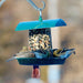 Feast for Feathered Friends Bundle - multipurpose feeder using seed cylinder