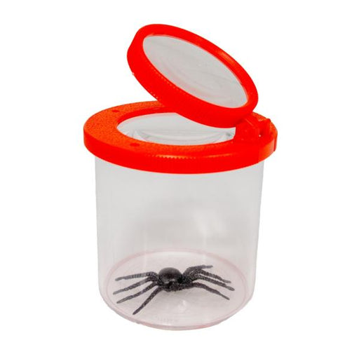 Clear Bug Viewer container featuring a spider inside 