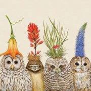 Four owls with various plants on their heads against a beige background