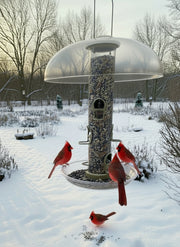Bird feeder with cardinals in a snowy garden