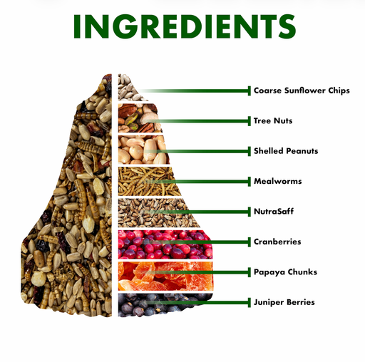 BNB Seed Bell Ingredient Infographic