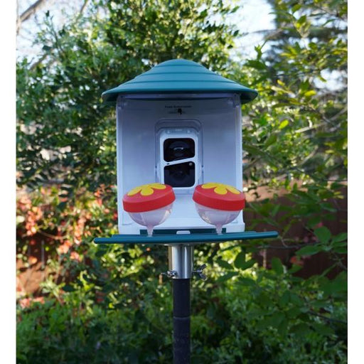 Beakview hummingbird feeder attachment 