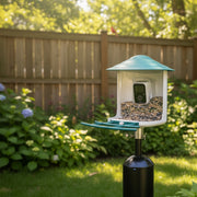 BeakView Camera Feeder Ultimate Pole Bundle with Raccoon Baffle